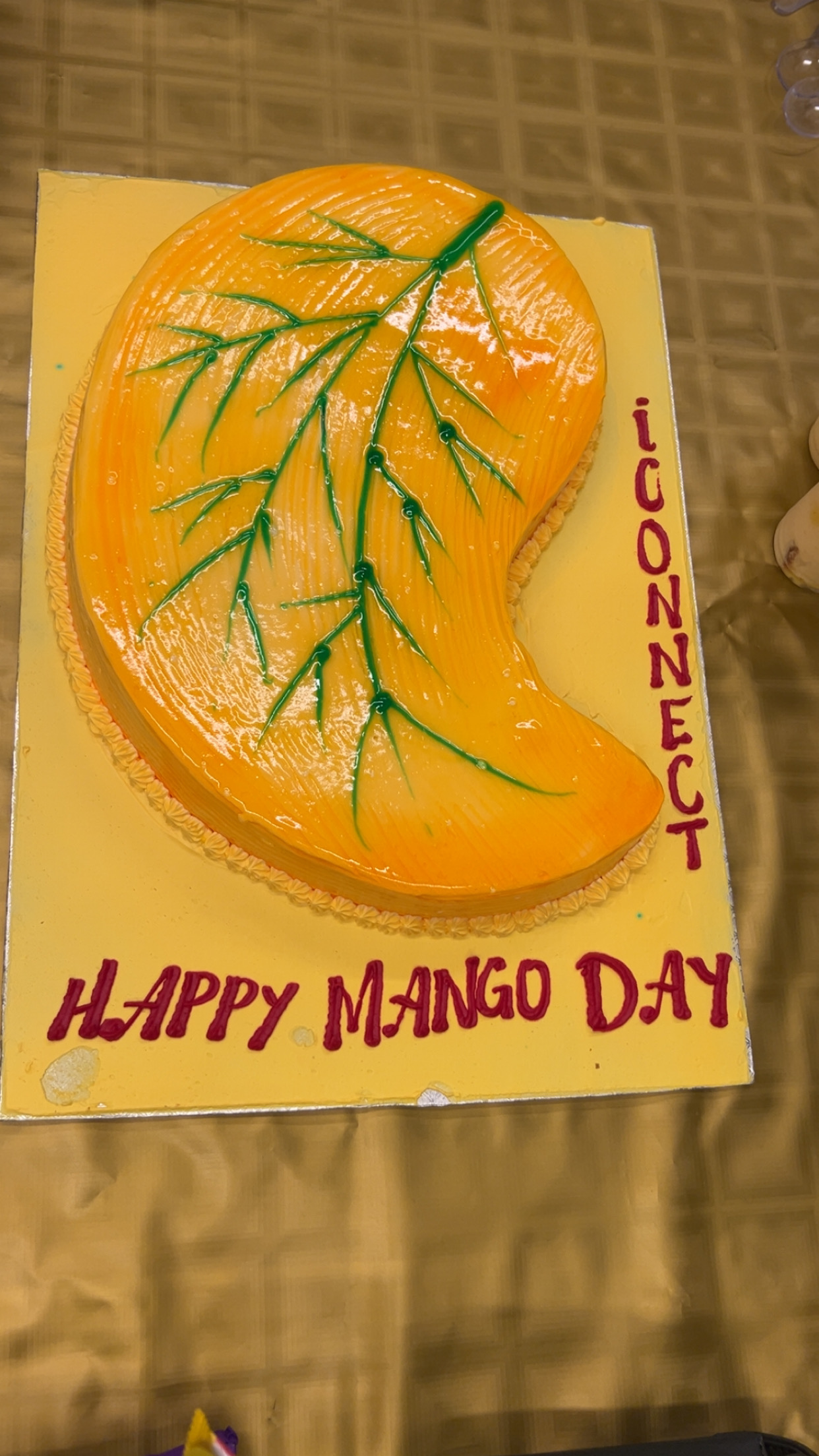 Mango Party 2025 2025, iConnect